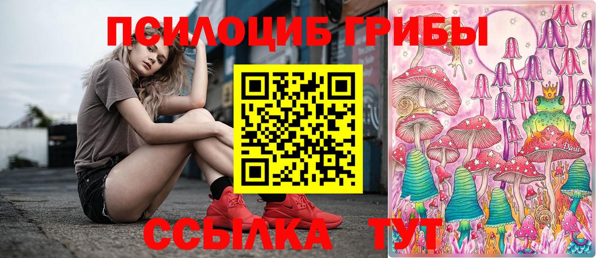 Курган  купить наркоту  Вход с VPN  Галлюциногенные грибы Psilocybine cubensis 